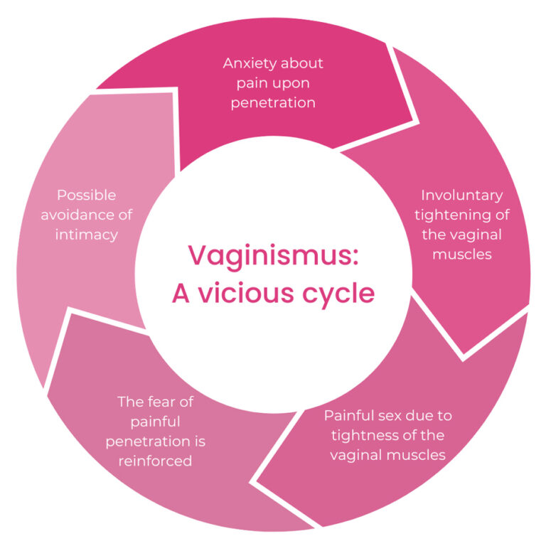 Supporting A Partner With Vaginismus: Cycle